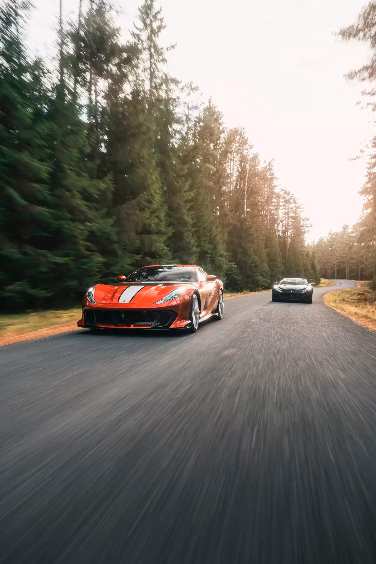 Exceptional Vehicles